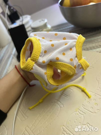 Одежда для собак мелких пород