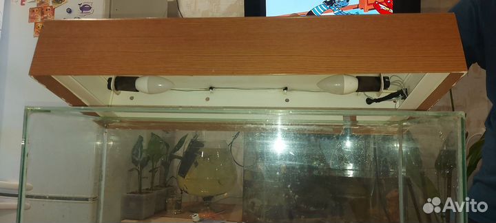 Аквариум