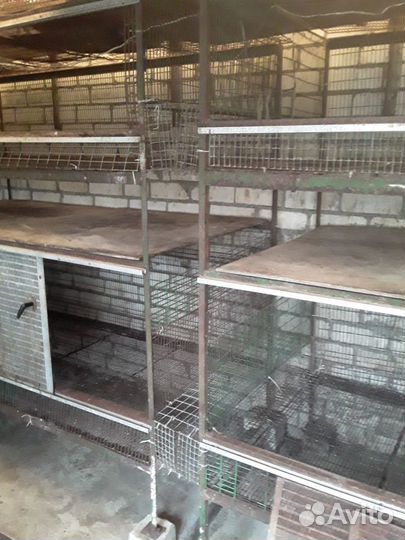 Клетки для сх птицы