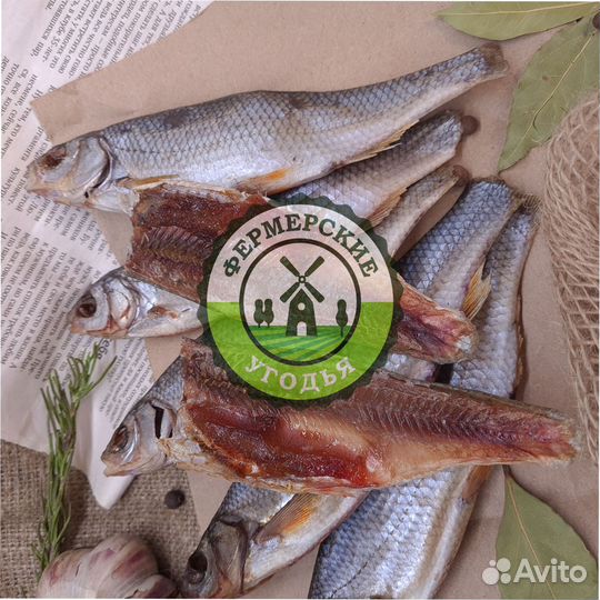 Рыба северная Язь Щука Щекур Мохтик Лещ Сырок