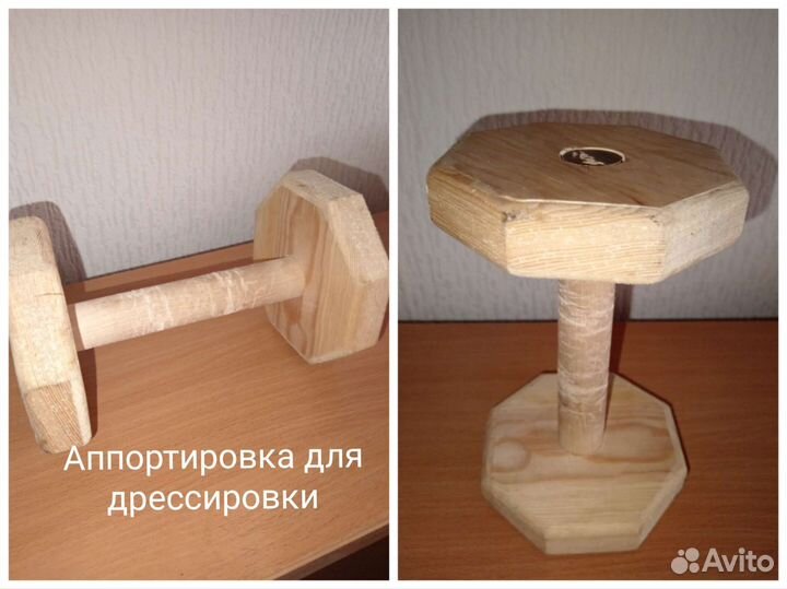 Амуниция для собак