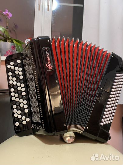 Баян Юпитер 2д