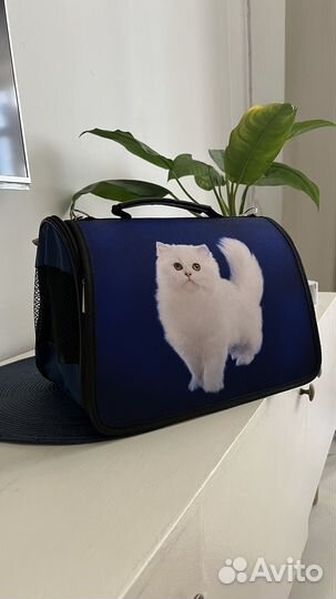 Переноска для животных