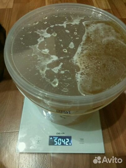 Мед Оптом рапс подсолнечник