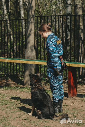 Услуги кинолога,выгул