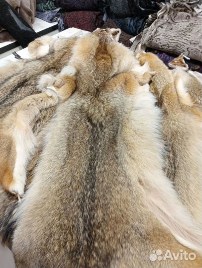 Натуральный мех койот, луговой волк шкурки