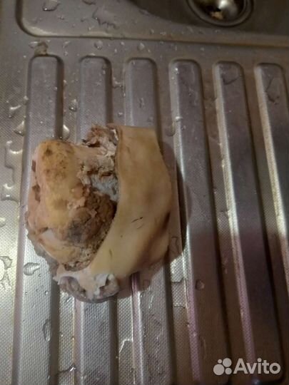 Корм- мясо для собак