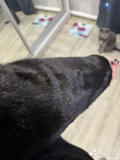 Продам шубу норка р.46-48