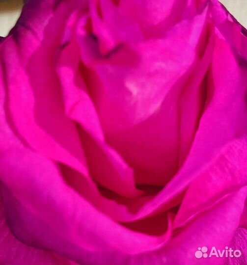 Для Анны магнит love