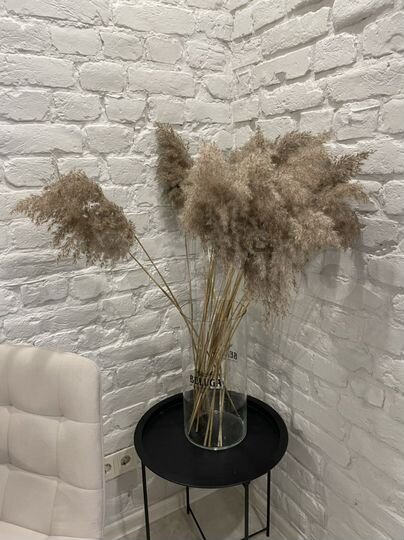 Квартира-студия, 25 м², 1/5 эт.