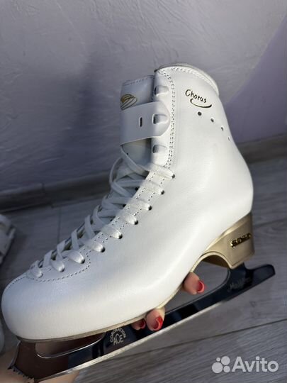 Коньки фигурные Edea Chorus NEW 260C