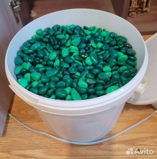 Аквариум и многое другое смотрите все фото