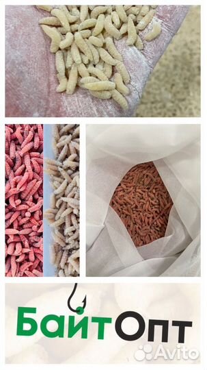 Опарыш оптом