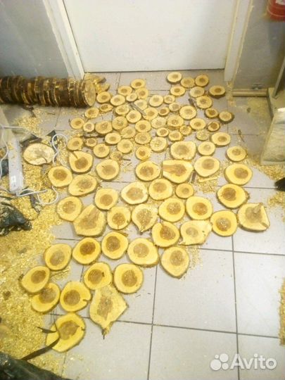 Спил дерева для декора