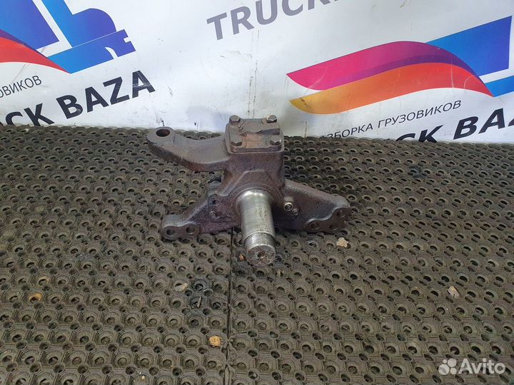 Кулак поворотный левый