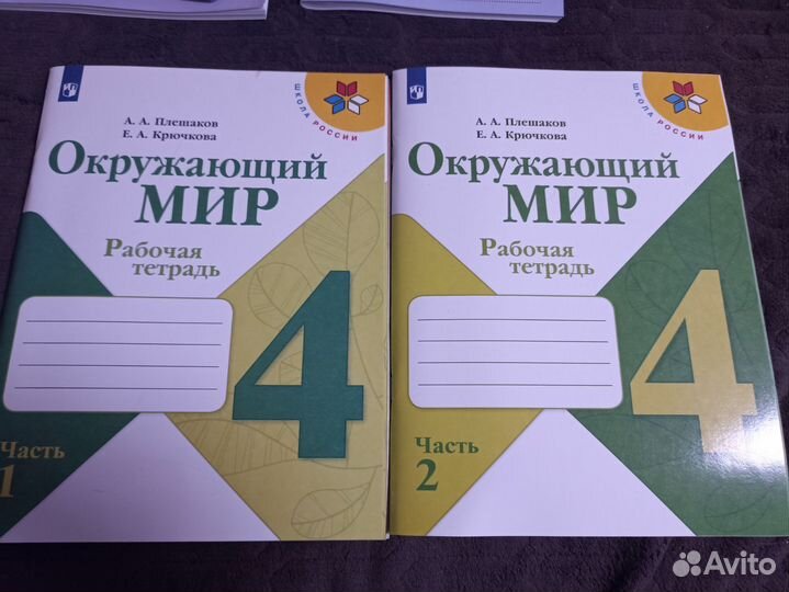 Рабочая тетрадь по окружающему миру 4 класс