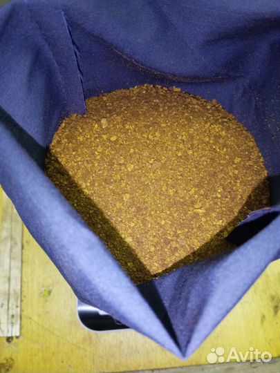 Чага березовая от сборщика