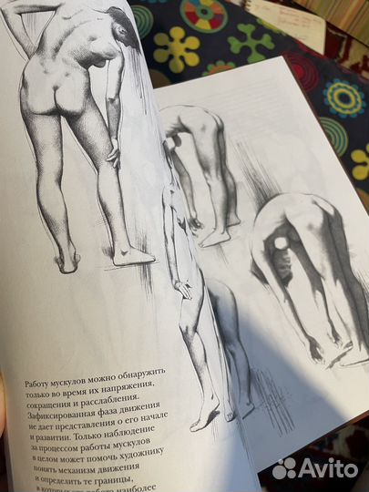 Книга Рисунок. Женская обнаженная натура