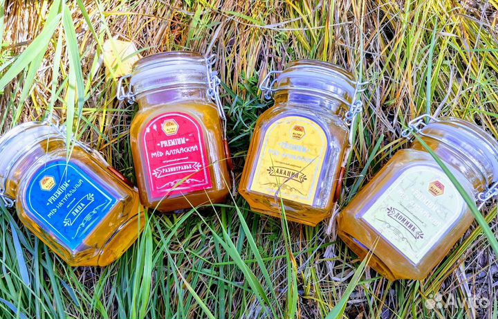 Мёд Алтайский от производителя, опт