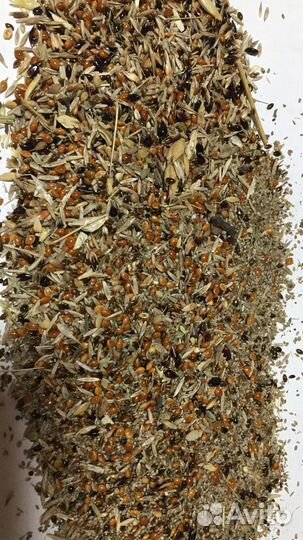 Смесь семян Народная кормовых трав