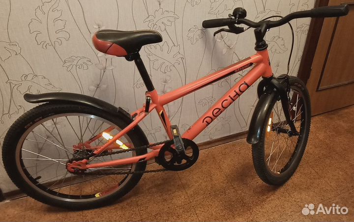 Stels Десна Феникс 20