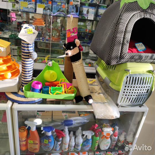 Корм для собак и кошек