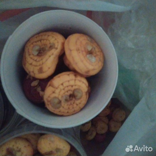 Гладиолусы луковицы