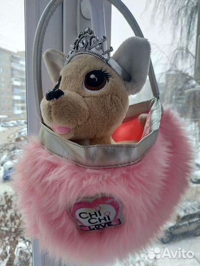 Чичилав собака