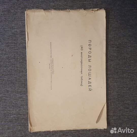 Породы лошадей, 40 иллюстраций