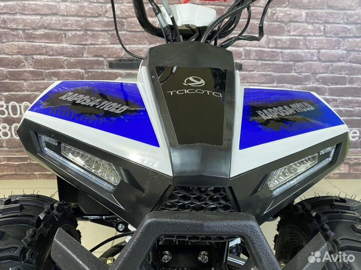 Квадроцикл Yacota Raposa 110 LD