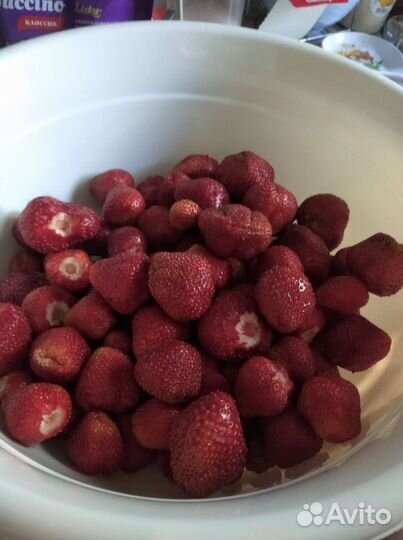 Продам усы клубники лорд