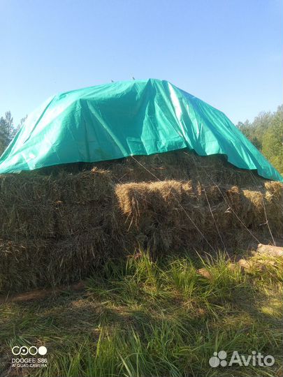 Сено в тюках