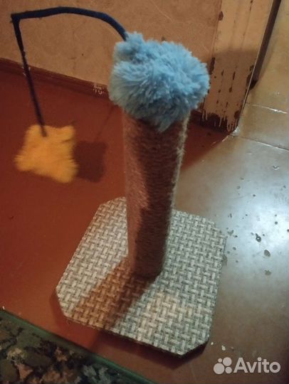 Когтеточка