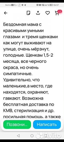 Собака алабай щенки