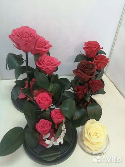 Роза в колбе оптом/ Подарок