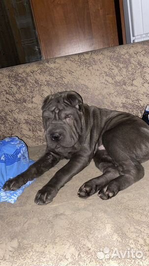 Вязка кабель