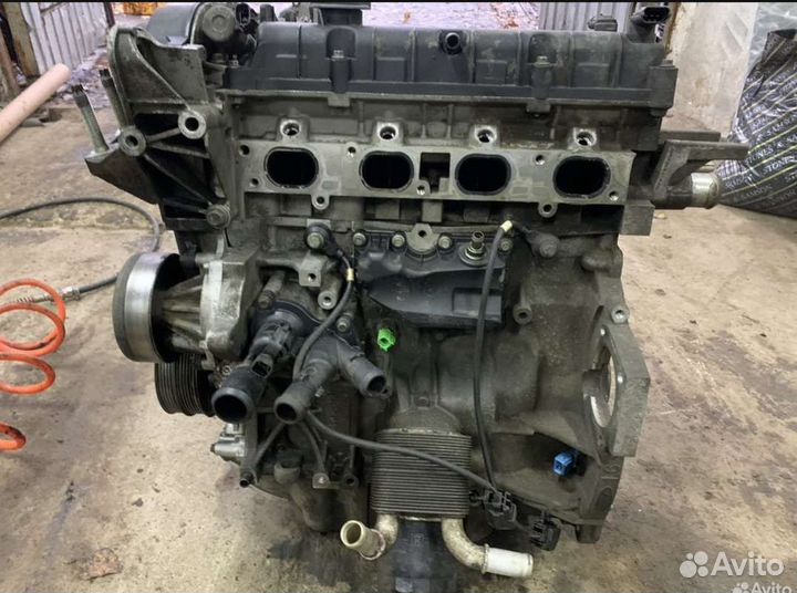 Двигатель ford focus 2 1.6 115 л с