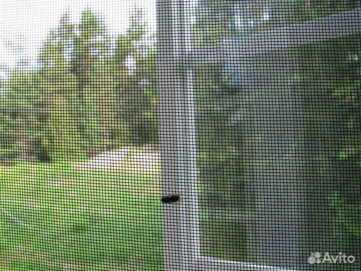 Москитная сетка RS+ RAL10666