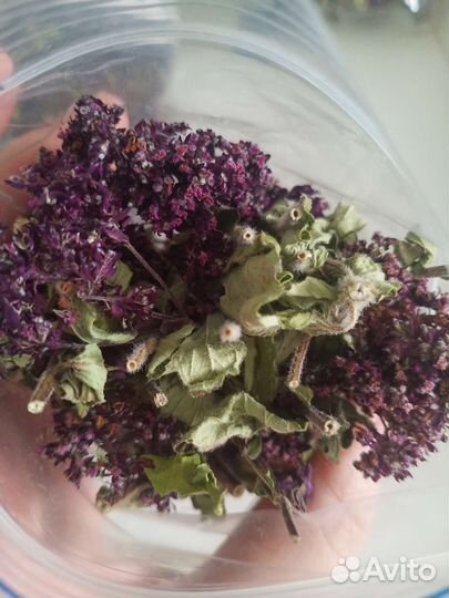 Душица, травяной чай, сбор, фиточай, север омс.обл