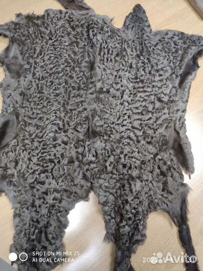 Бухарский каракуль