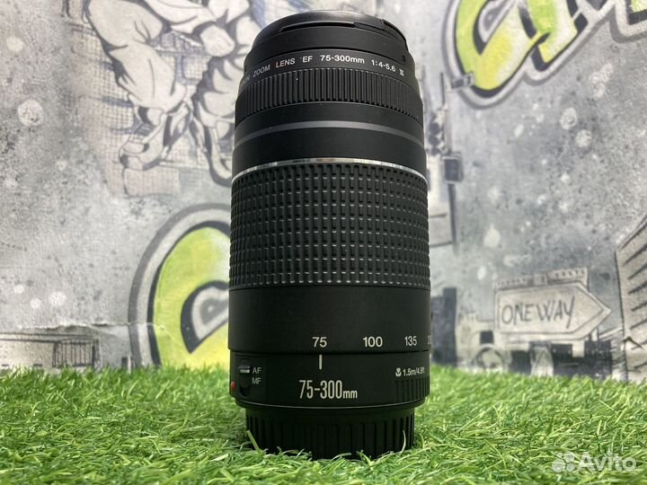 Canon 75-300mm 4-5.6 II