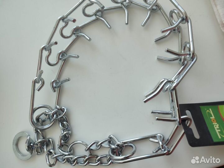 Строгий ошейник