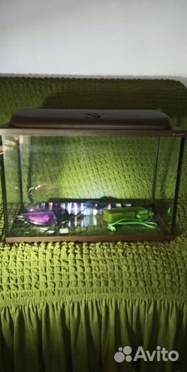 Аквариум