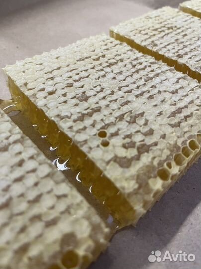 Мёд в сотах.Рамка меда в сотах 2023