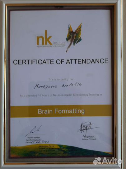 Энергетический кинезиолог. Работа со стрессом