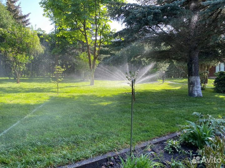 Рулонный газон