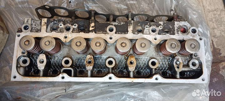 Гбц Танаки на эвотек, evotech