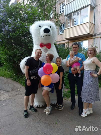 Праздники мероприятия белого медведя