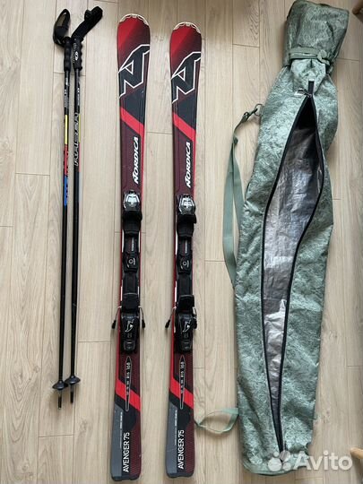 Горные лыжи