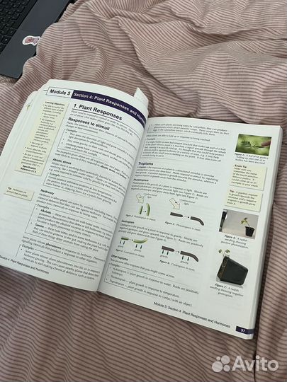 Книга по биологии на английском